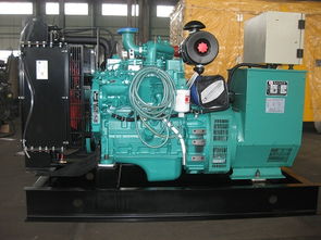 昆明东本机电设备公司 昆明玉柴发电机30kw